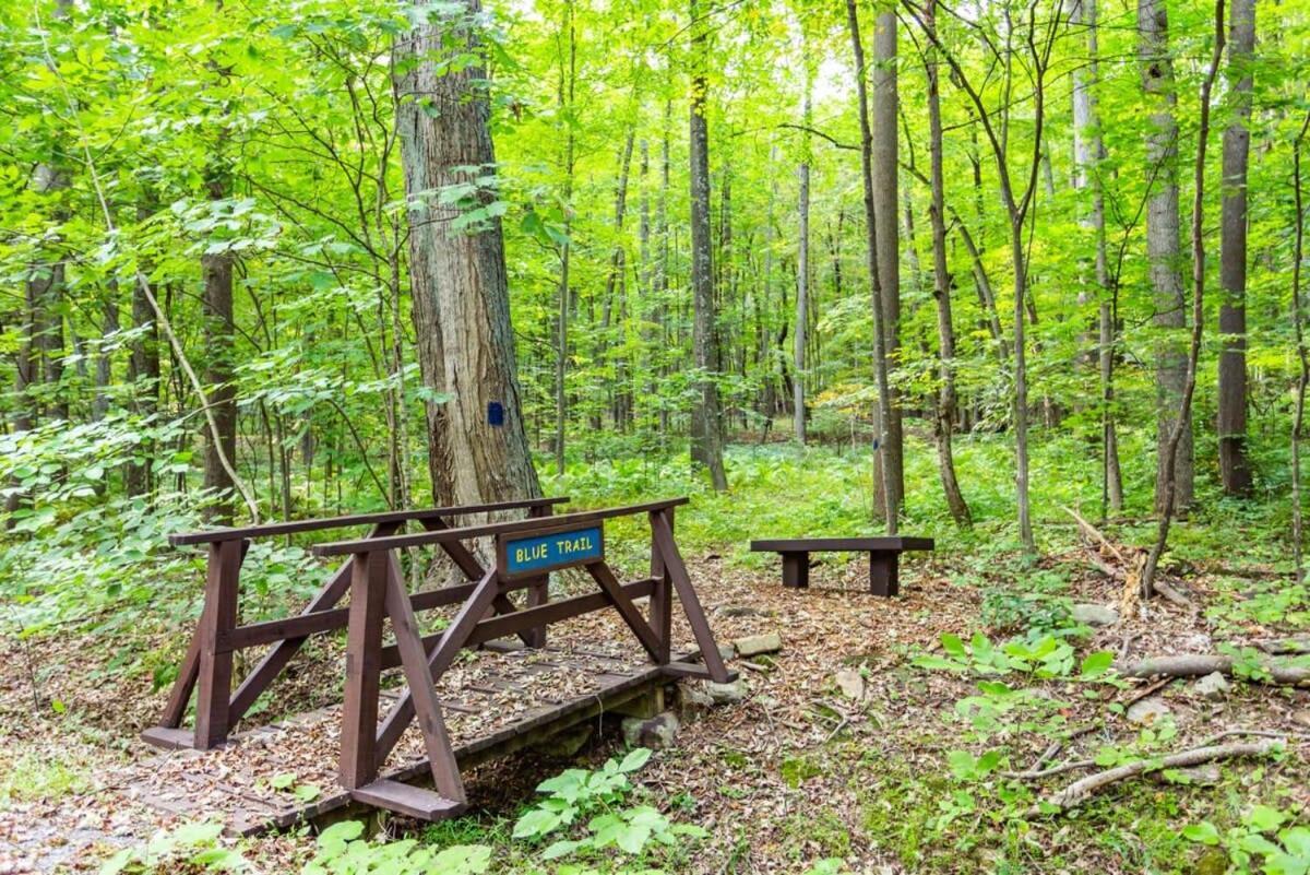 Huge Cabin W Hot Tub, Deck, Grill, Fire Pit, Wifi バークレー・スプリングス エクステリア 写真